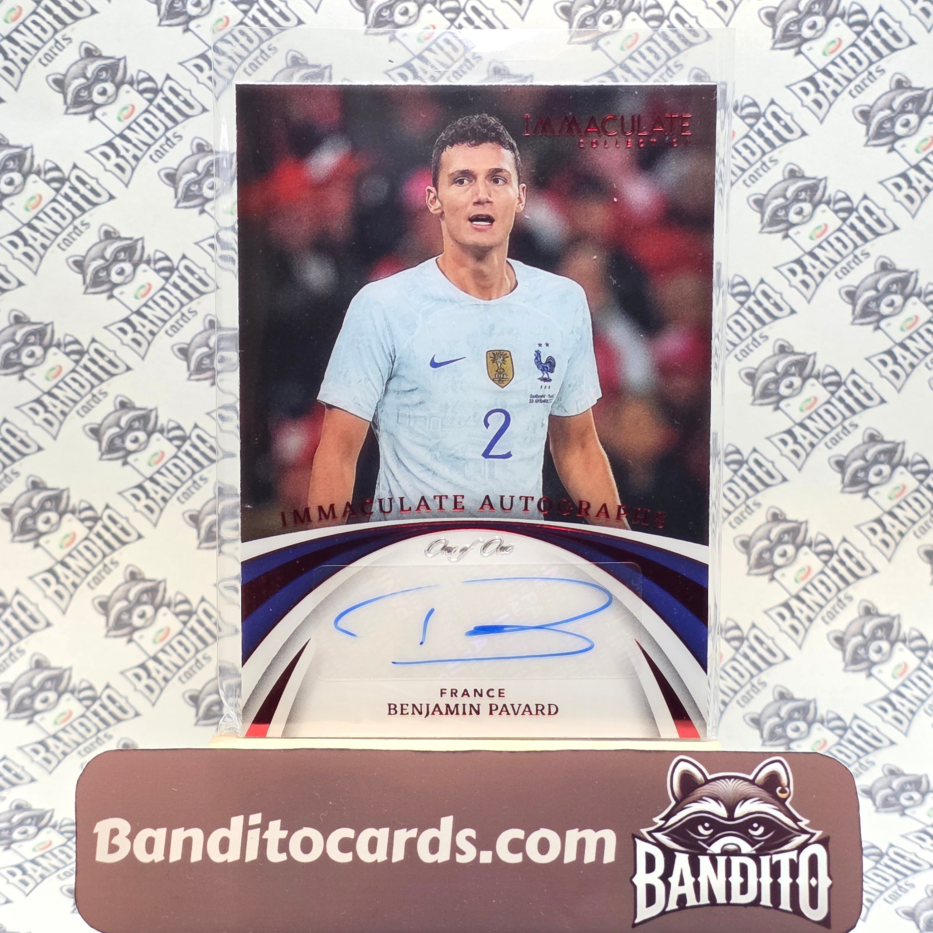 shop Panini sports cards for collectors – Banditocards