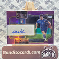 2022-23 Panini Select Daniel Maldini auto /49 - Italy